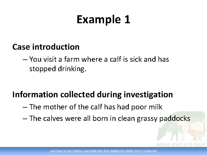 Example 1 Case introduction – You visit a farm where a calf is sick