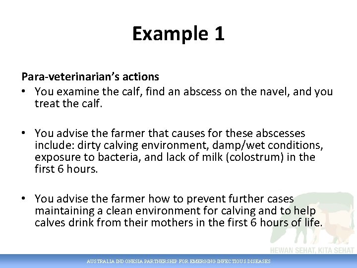 Example 1 Para-veterinarian’s actions • You examine the calf, find an abscess on the