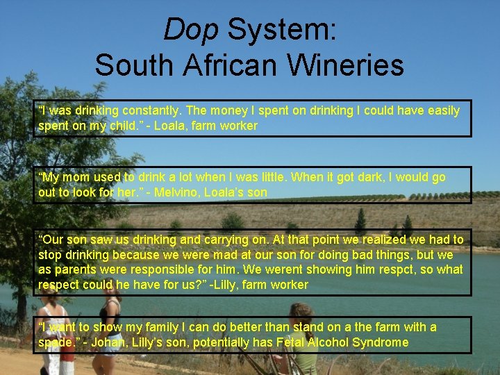 Dop System: South African Wineries “I was drinking constantly. The money I spent on