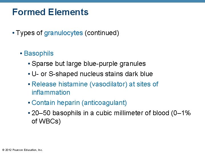 Formed Elements • Types of granulocytes (continued) • Basophils • Sparse but large blue-purple
