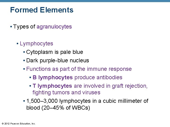 Formed Elements • Types of agranulocytes • Lymphocytes • Cytoplasm is pale blue •