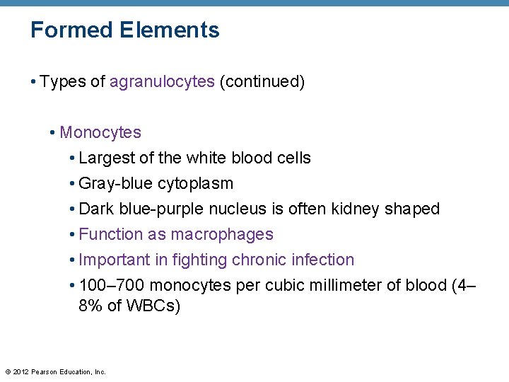 Formed Elements • Types of agranulocytes (continued) • Monocytes • Largest of the white