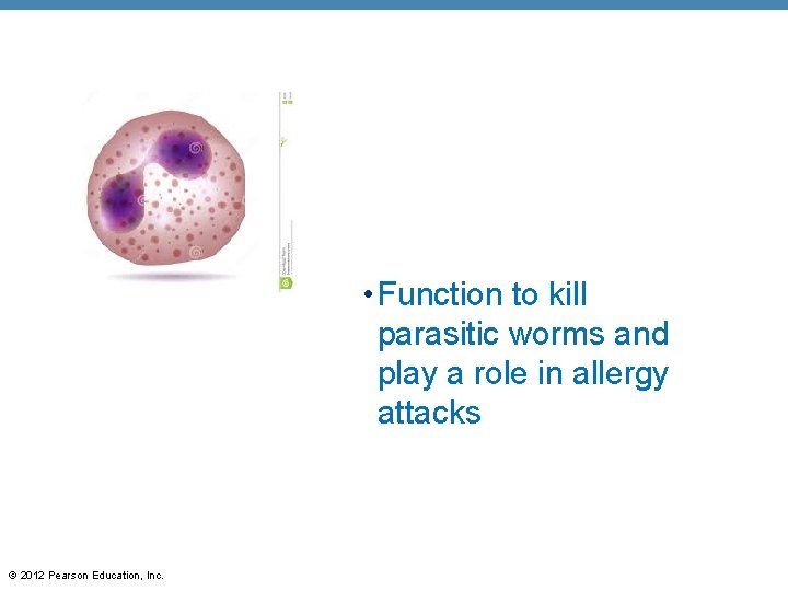  • Function to kill parasitic worms and play a role in allergy attacks