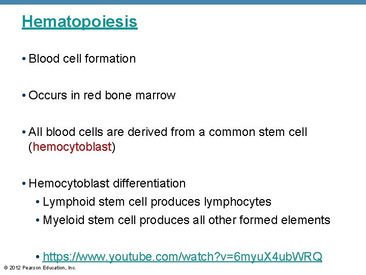 Hematopoiesis • Blood cell formation • Occurs in red bone marrow • All blood