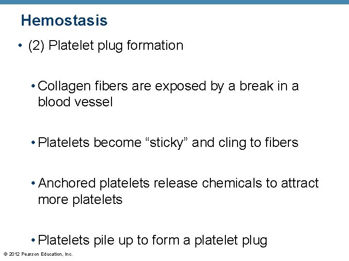 Hemostasis • (2) Platelet plug formation • Collagen fibers are exposed by a break