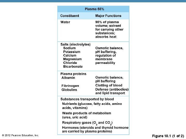 © 2012 Pearson Education, Inc. Figure 10. 1 (1 of 2) 