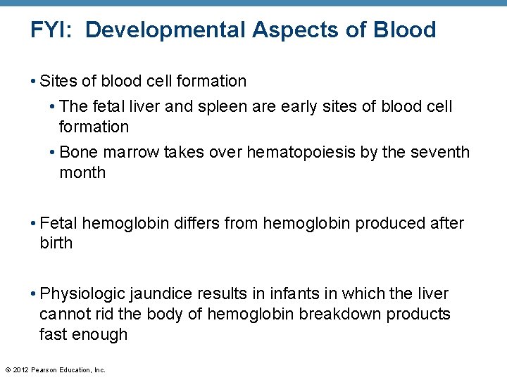 FYI: Developmental Aspects of Blood • Sites of blood cell formation • The fetal