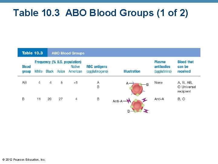 Table 10. 3 ABO Blood Groups (1 of 2) © 2012 Pearson Education, Inc.