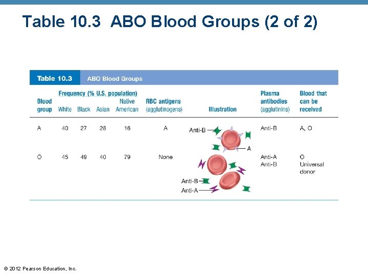 Table 10. 3 ABO Blood Groups (2 of 2) © 2012 Pearson Education, Inc.