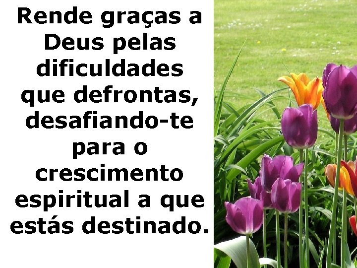 Rende graças a Deus pelas dificuldades que defrontas, desafiando-te para o crescimento espiritual a