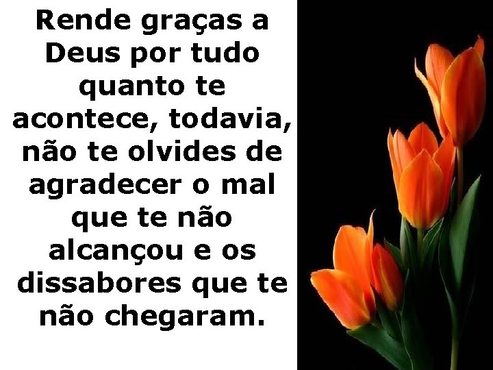 Rende graças a Deus por tudo quanto te acontece, todavia, não te olvides de