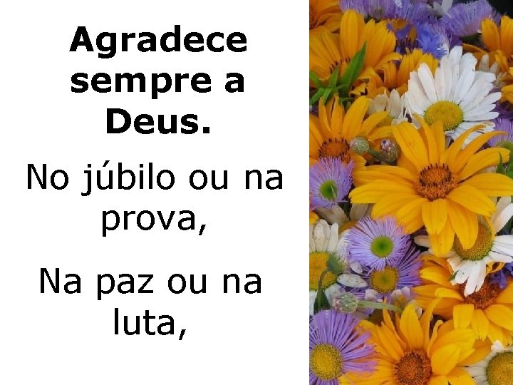 Agradece sempre a Deus. No júbilo ou na prova, Na paz ou na luta,