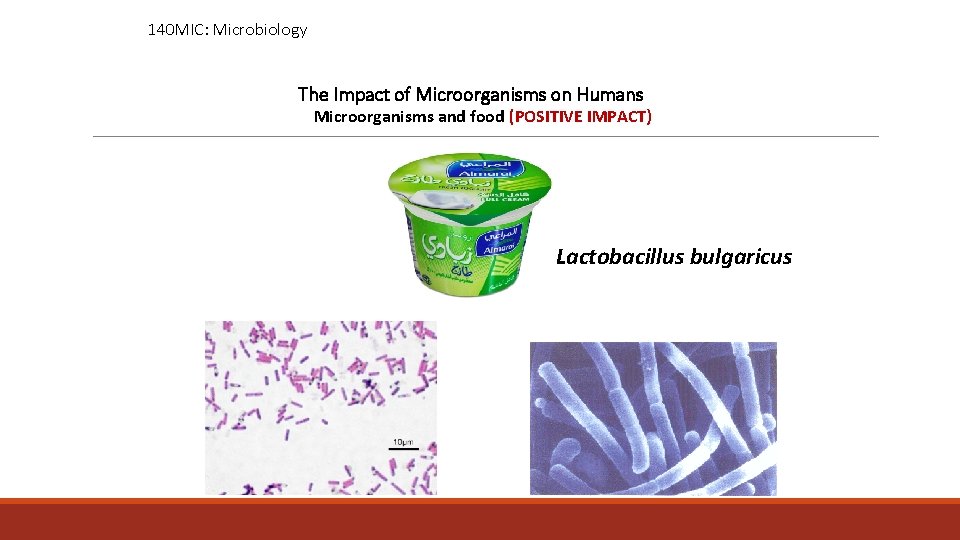 140 MIC: Microbiology The Impact of Microorganisms on Humans Microorganisms and food (POSITIVE IMPACT)
