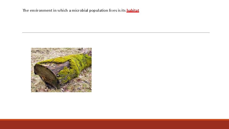 The environment in which a microbial population lives is its habitat 