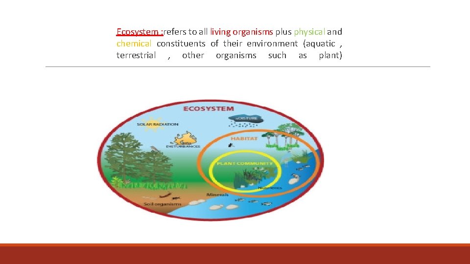 Ecosystem : refers to all living organisms plus physical and chemical constituents of their