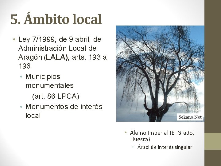 5. Ámbito local • Ley 7/1999, de 9 abril, de Administración Local de Aragón