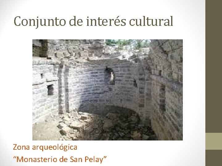 Conjunto de interés cultural Zona arqueológica “Monasterio de San Pelay” 