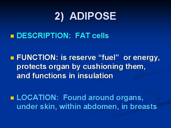 2) ADIPOSE n DESCRIPTION: FAT cells n FUNCTION: is reserve “fuel” or energy, protects