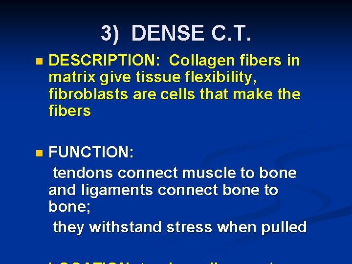 3) DENSE C. T. n DESCRIPTION: Collagen fibers in matrix give tissue flexibility, fibroblasts