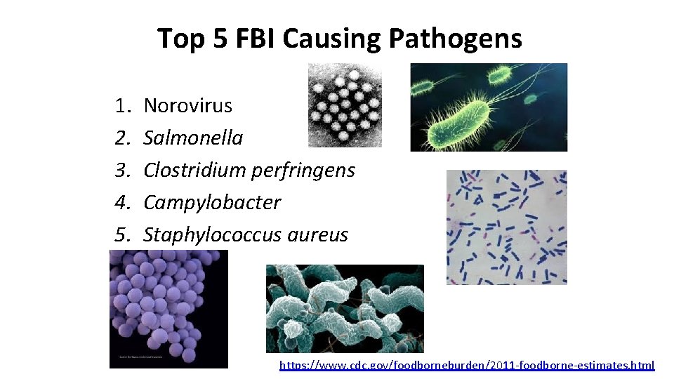 Top 5 FBI Causing Pathogens 1. 2. 3. 4. 5. Norovirus Salmonella Clostridium perfringens