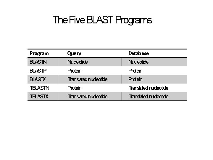 The Five BLAST Programs Program Query Database BLASTN Nucleotide BLASTP Protein BLASTX Translated nucleotide