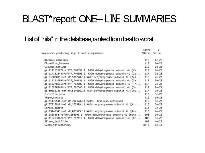 BLAST* report: ONE ‐LINE SUMMARIES List of "hits" in the database, ranked from best