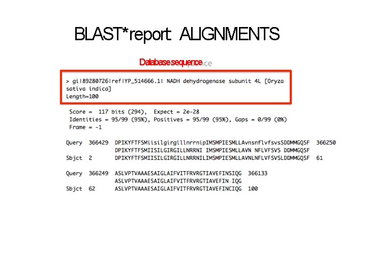 BLAST* report: ALIGNMENTS Database sequence 