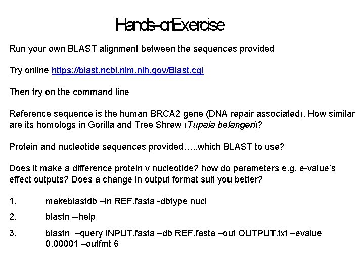 Hands on Exercise Run your own BLAST alignment between the sequences provided Try online