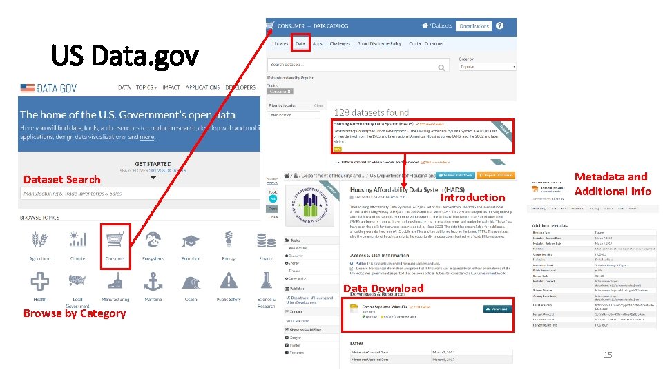 US Data. gov Dataset Search Introduction Metadata and Additional Info Data Download Browse by