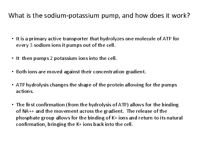 What is the sodium-potassium pump, and how does it work? • It is a