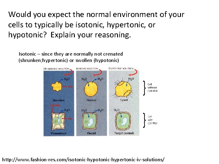 Would you expect the normal environment of your cells to typically be isotonic, hypertonic,