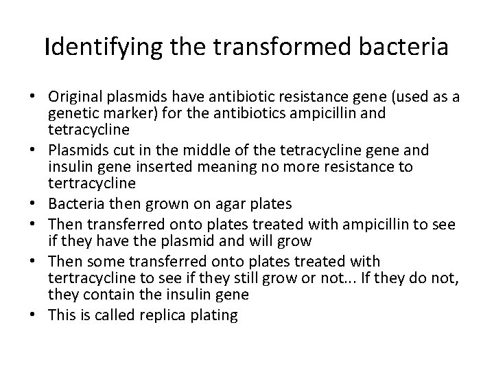Identifying the transformed bacteria • Original plasmids have antibiotic resistance gene (used as a