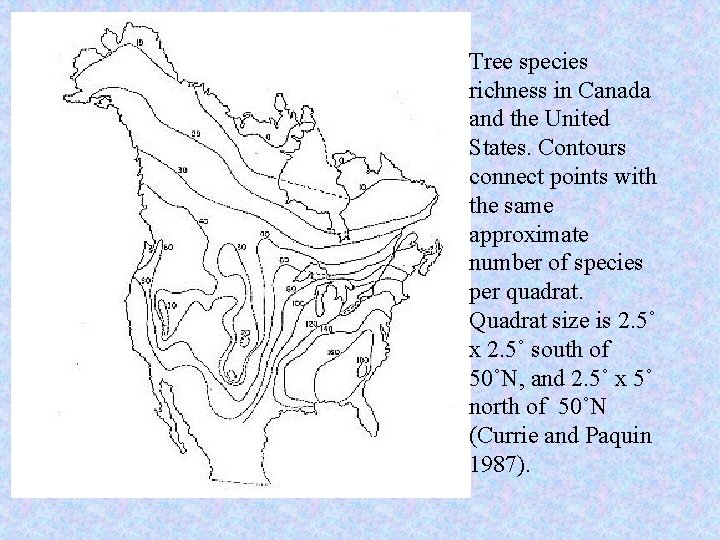 Tree species richness in Canada and the United States. Contours connect points with the