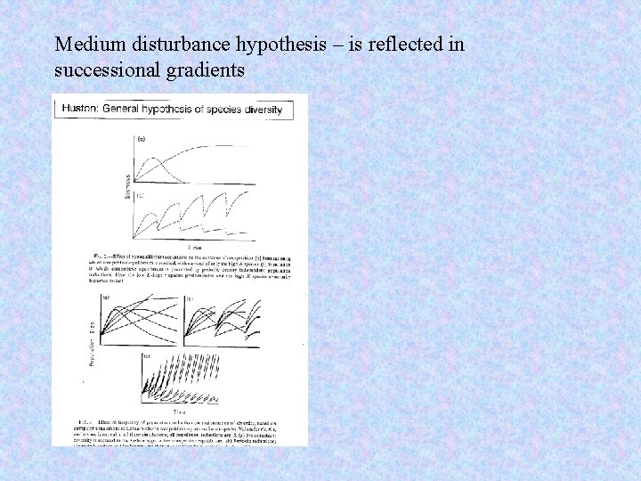 Medium disturbance hypothesis – is reflected in successional gradients 