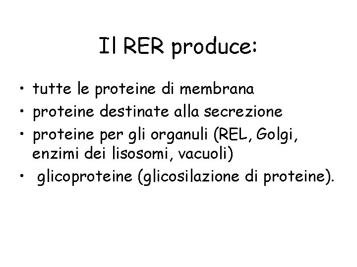 Il RER produce: • tutte le proteine di membrana • proteine destinate alla secrezione