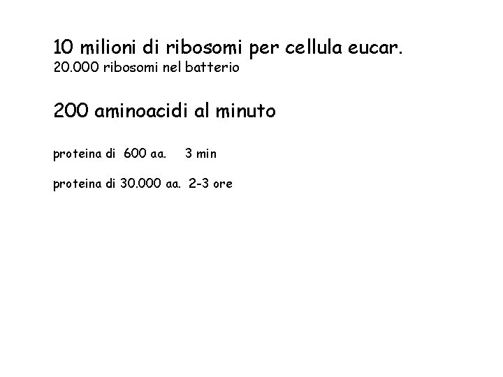 10 milioni di ribosomi per cellula eucar. 20. 000 ribosomi nel batterio 200 aminoacidi