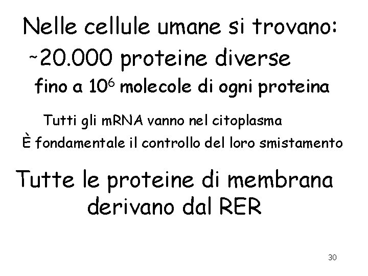 Nelle cellule umane si trovano: ∼ 20. 000 proteine diverse fino a 106 molecole