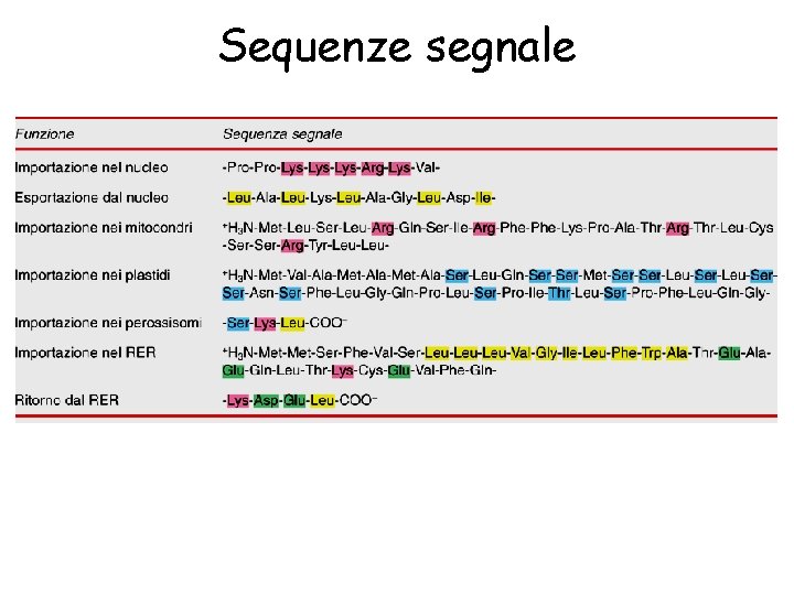 Sequenze segnale 