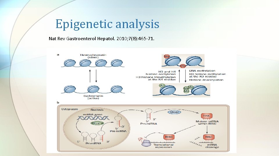 Epigenetic analysis Nat Rev Gastroenterol Hepatol. 2010; 7(8): 465 -71. 