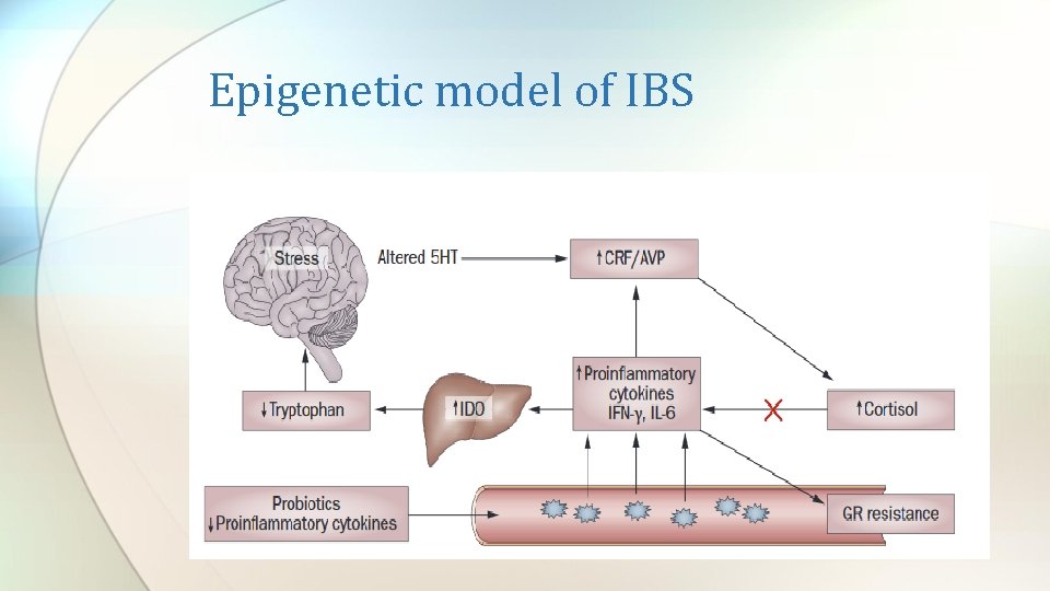 Epigenetic model of IBS 