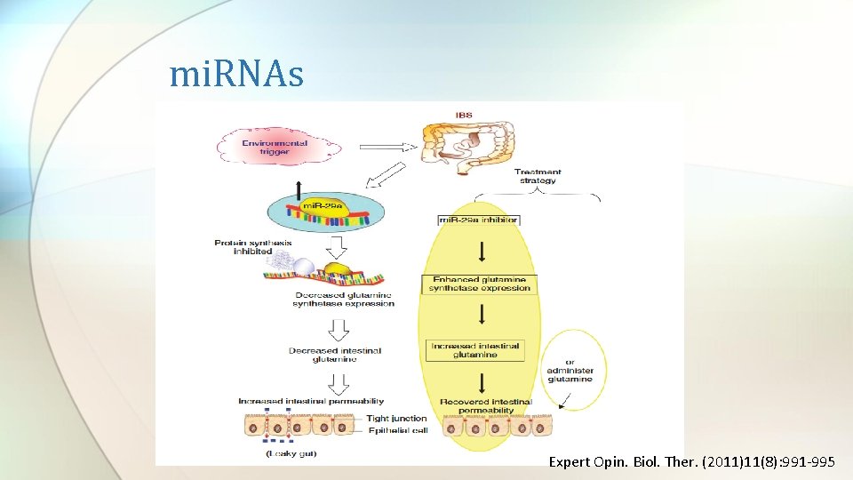 mi. RNAs Expert Opin. Biol. Ther. (2011)11(8): 991 -995 