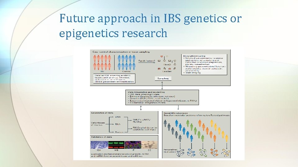 Future approach in IBS genetics or epigenetics research 