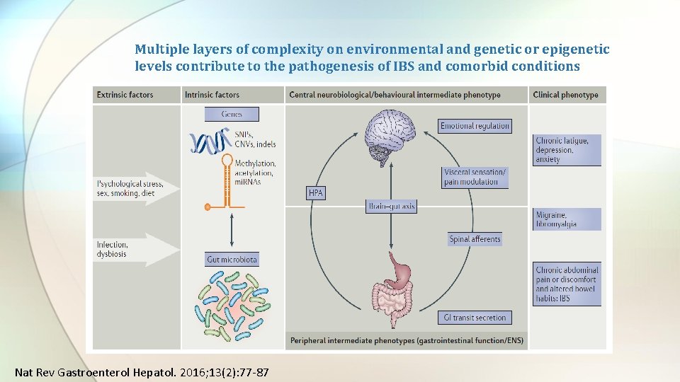 Multiple layers of complexity on environmental and genetic or epigenetic levels contribute to the