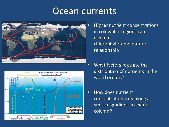 Ocean currents • Higher nutrient concentrations in coldwater regions can explain chlorophyll/temperature relationship •