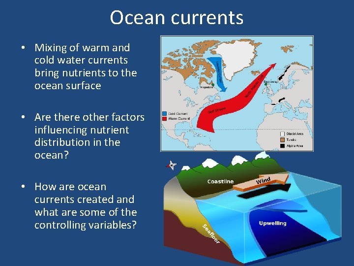 Ocean currents • Mixing of warm and cold water currents bring nutrients to the