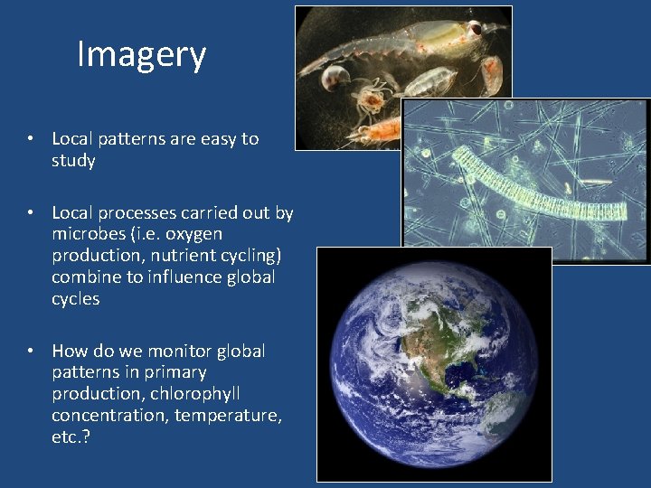 Imagery • Local patterns are easy to study • Local processes carried out by