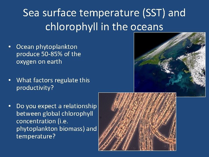 Sea surface temperature (SST) and chlorophyll in the oceans • Ocean phytoplankton produce 50