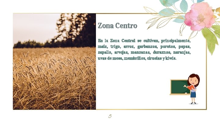 Zona Centro En la Zona Central se cultivan, principalmente, maíz, trigo, arroz, garbanzos, porotos,