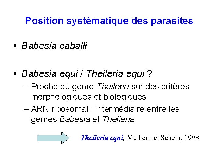 Position systématique des parasites • Babesia caballi • Babesia equi / Theileria equi ?