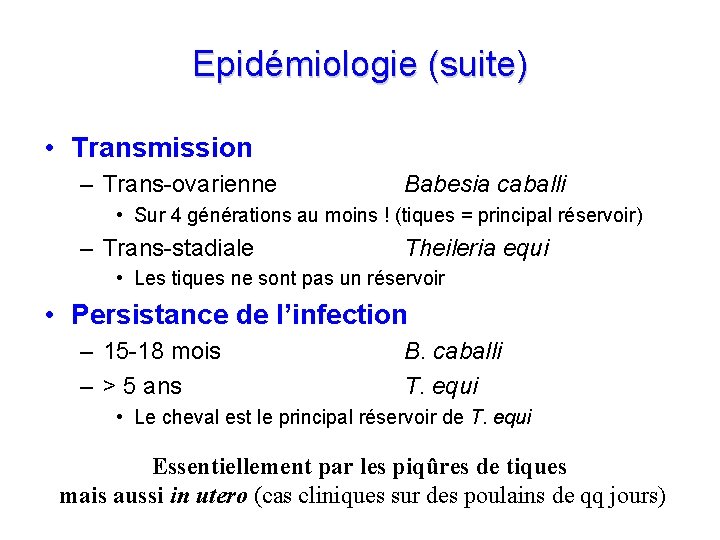 Epidémiologie (suite) • Transmission – Trans-ovarienne Babesia caballi • Sur 4 générations au moins